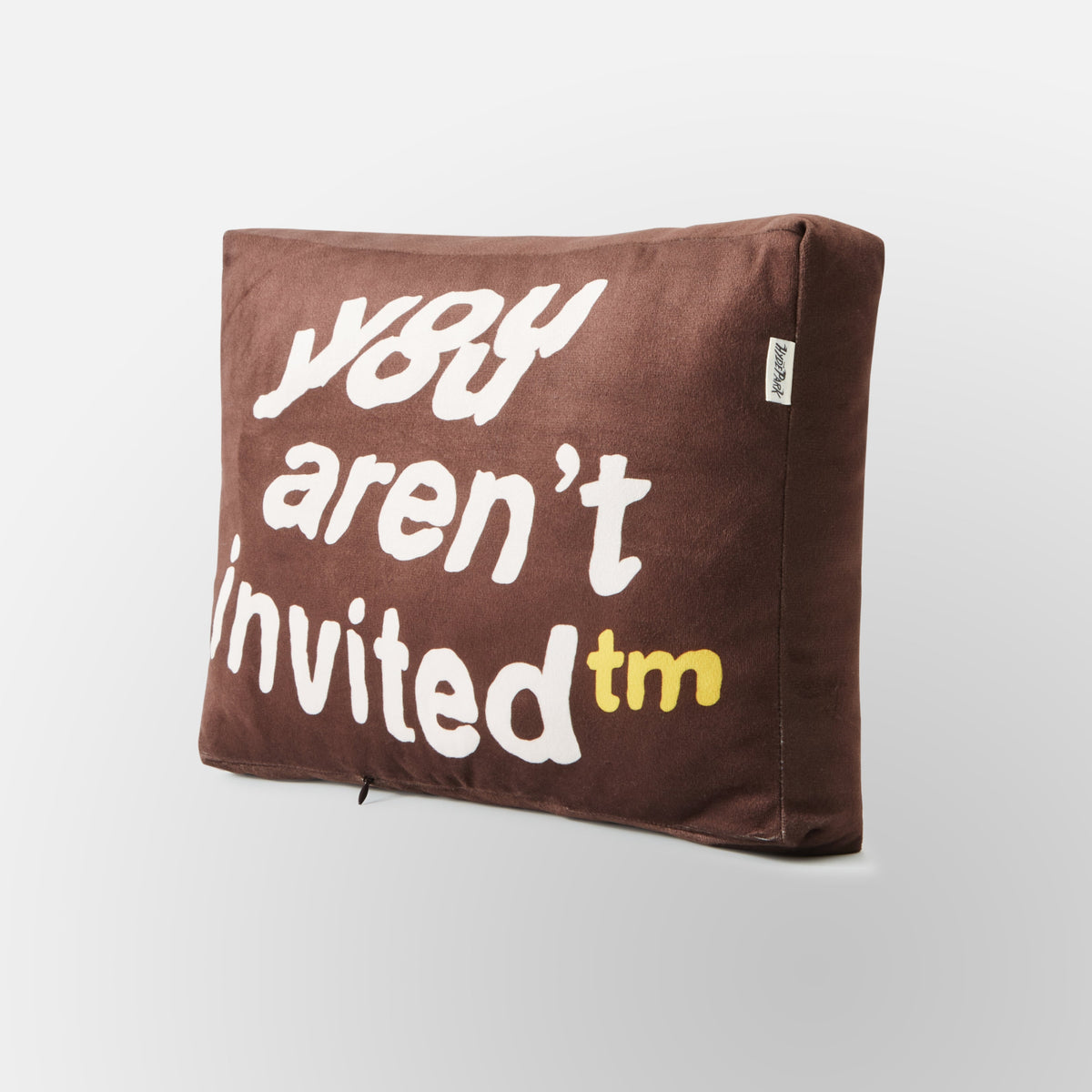 Double Trouble Pillow