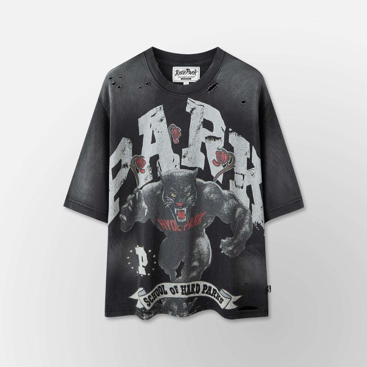 Hard Park Academy - BLK